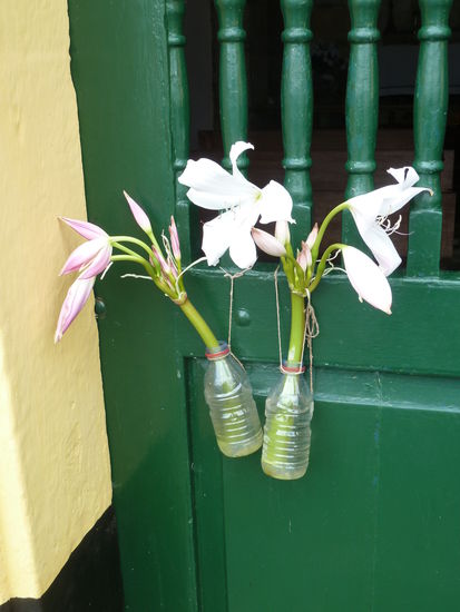 originelle Verwendung moderner PET-Flaschen