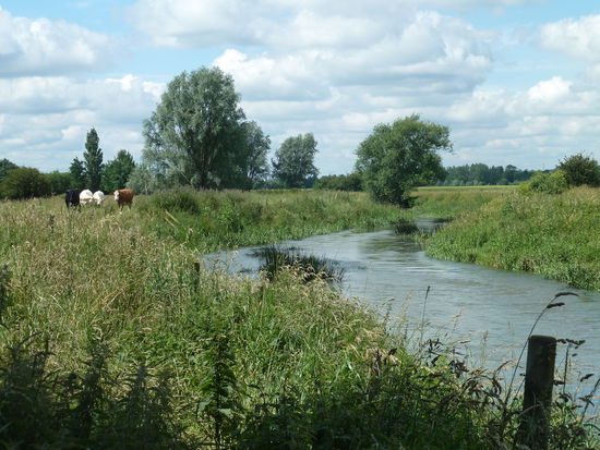 Der Viadukt überspannt den Fluß Welland in seinem häufig überfluteten Tal