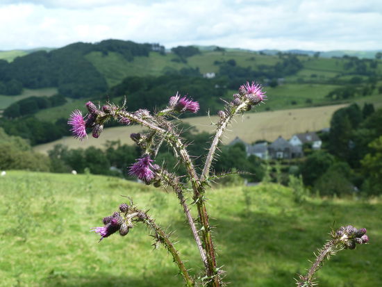 oberhalb des Golfplatzes