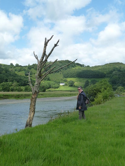 river Dyfi