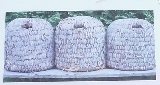 Lüneburger Stülper von 1950 - Bienenkörbe