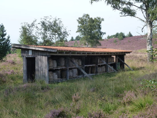 Hier entdecken wir tatsächlich noch einen Bienenzaun mit Lüneburger Stülper