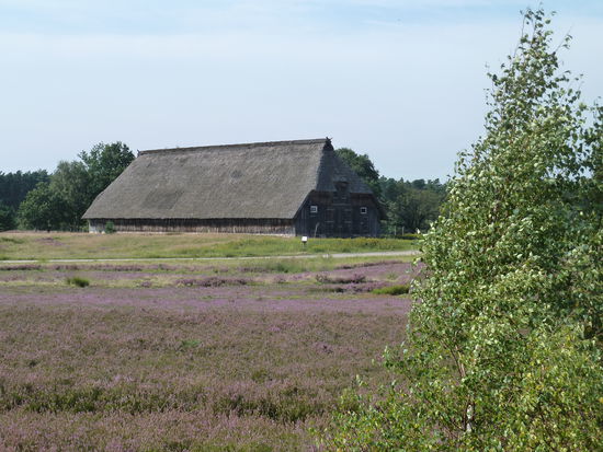 auch auf diesem Rundweg gelangen wir an einen Schnuckenstall