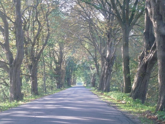 Nur wenige Kilometer von unserem Ferienhaus liegt zwischen Schneverdingen und Heber das etwa 2,5 Quadratkilometer große Pietzmoor.