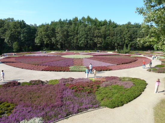 Heidegarten in Schneverdingen