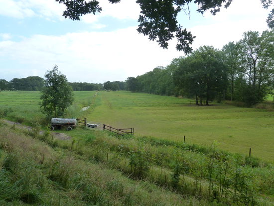 Blick vom Deich auf die Marschlandschaft