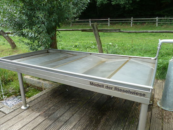Das Modell wurde angelegt nach dem historischen Vorbild der Rieselwiese auf dem Wiedenhof bei Jesteburg, einer Außenstelle des Freilichtmuseums. Sie funktioniert heute genau wie im 19. Jahrhundert: künstliche Bewässerung auf natürliche Art.