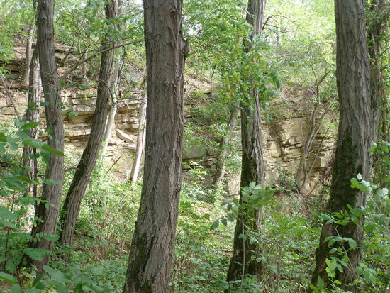Schon bald erkennt man den schichtweisen Aufbau des lokalen Muschelkalks.