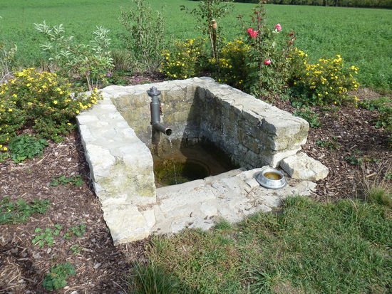 man beachte den Napf für 'mitwandernde Hunde'