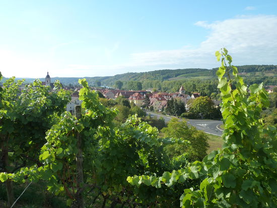 Blick auf Sommerhausen
