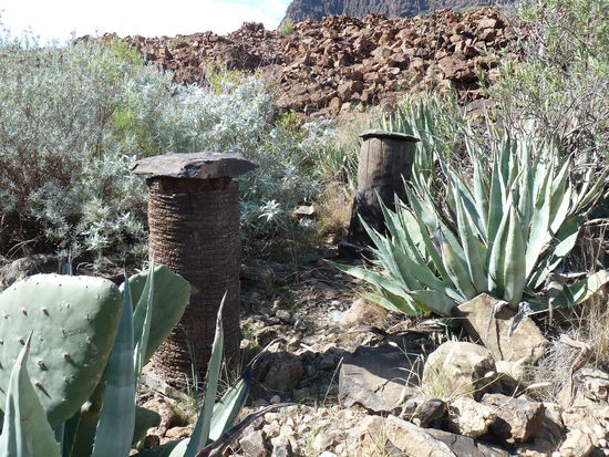 Die Bienenstöcke
Die Einwohner von Arteara haben das Friedhofsgelände lediglich zum Aufstellen von Bienenstöcken genutzt. Normalerweise wurden für die Herstellung dieser Bienenstöcke ausgehöhlte und auf die gewünschte Länge zugeschnittene Palmenstämme benutzt. Sie wurden auf Steinen aufgestellt und wiederum mit einer Steinplatte abgedeckt.
Traditionsgemäß gab es zahlreiche verschiedene und teilweise kuriose Praktiken zur Nutzung dieser Bienenstöcke. Zum Beispiel wenn der Eigentümer solcher Bienenstöcke verstarb, hängte man an den Stöcken, zum Zeichen der Trauer und des Beileids, einen schwarzen Trauerflor auf, so wie es auch an diesen, seit dem Tod des Besitzers, verlassenen Bienenstöcken zu sehen ist.