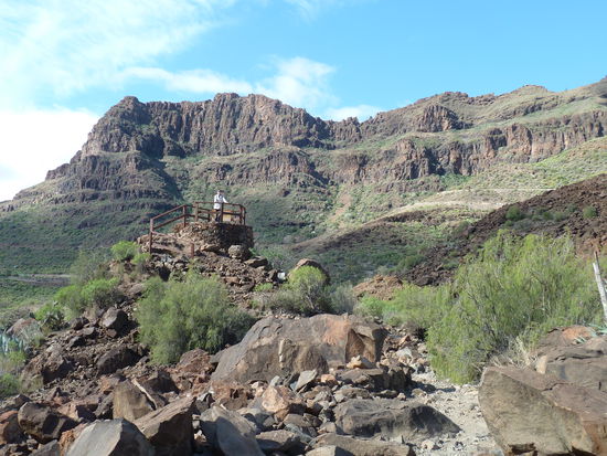 Aussichtsplattform - nach Norden das Gräberfeld