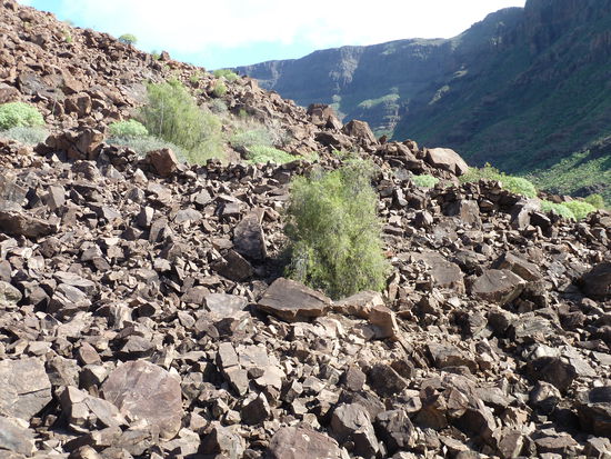 Der Friedhof musste wohl von einer Mauer umgeben gewesen sein, von der noch einige Stücke erhalten sind, vor allem in der nördlichsten Ecke, die auch von hier aus zu erkennen ist. Die Mauer, bestehend aus losen, übereinander gelegten Steinen, passt sich den Unebenheiten des bergigen Geländes an. Jedoch im äußersten Osten der Fundstätte füllt die Mauer lediglich die Lücken zwischen den in diesem Teil der Grabstätte zahlreichen großen Steinblöcken aus.
Das Vorhandensein dieser Mauer, das auch an anderen archäologischen Fundstätten,dieser Art, wie zum Beispiel Maipés bei Agaete, La Isleta oder in Jinámar, zu beobachten ist, weist darauf hin, dass versucht wurde, das Reich der Toten von seiner Umgebung räumlich abzutrennen.