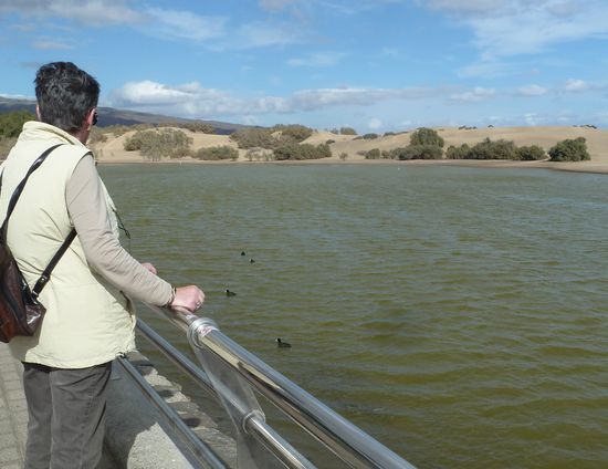 an der Lagune von Maspalomas
