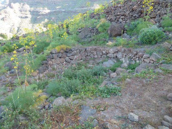 unscheinbares Überbleibsel des archäologischen Komplexes