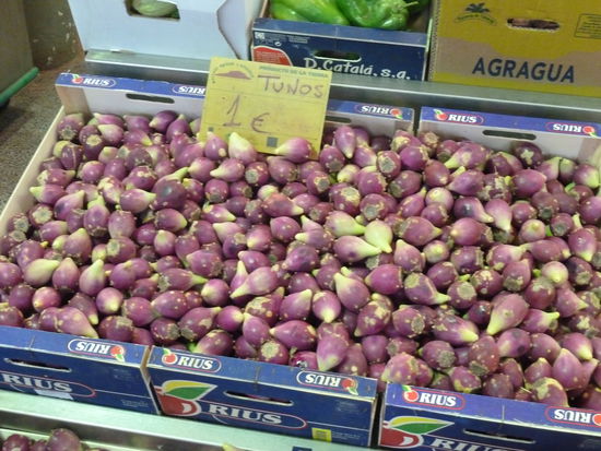 'tunos' (Kaktusfrüchte)