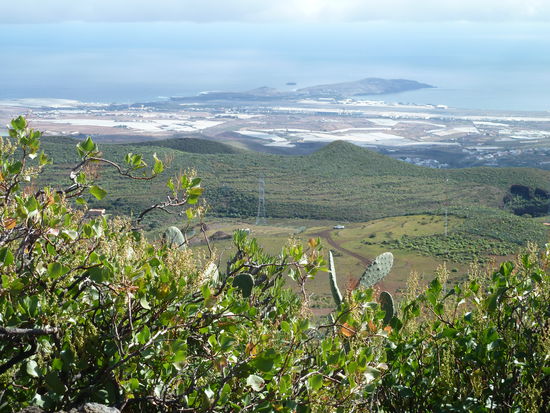 Gewächshäuser im Osten der Insel