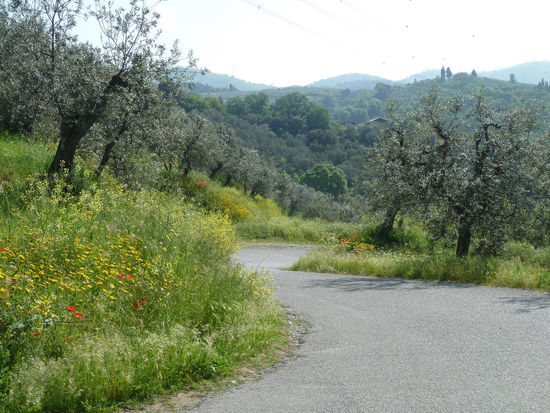 Serpentinen durch die Hügellandschaft des Montalbano zu unserem Haus