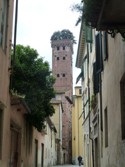 Torre Guinigi mit Steineichen
