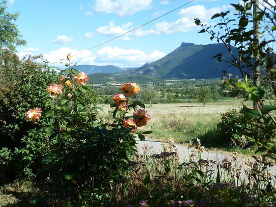 Der Blick aus dem Wohnzimmer