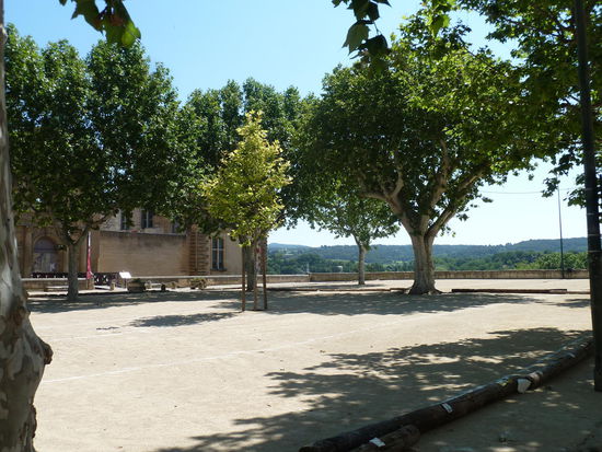 boule/ petanque