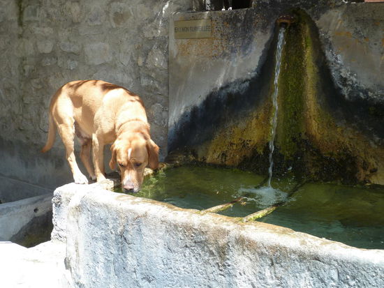 nicht nur wir sind durstig