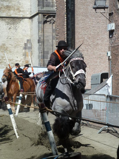 Kaltblütler im Galopp - Reiter in klassischer Zeeländischer Männer-Tracht