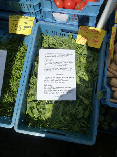 lamsoren - Lammohren