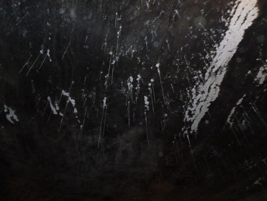 Salzstangen - von der Decke hängend