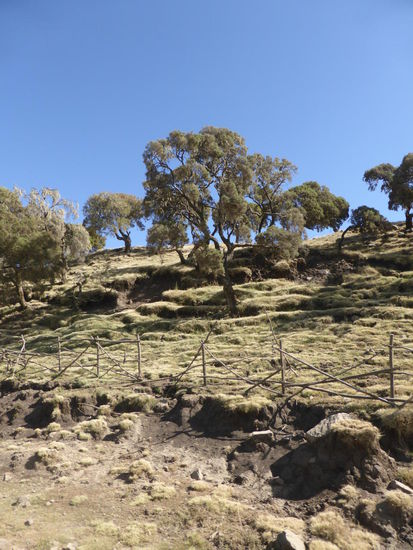 Startpunkt in der Nähe der Semien Mountain Lodge