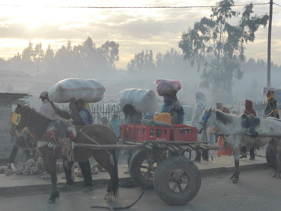 hektischer Marktverkehr