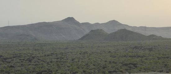 altes überwachsenes Lavafeld
