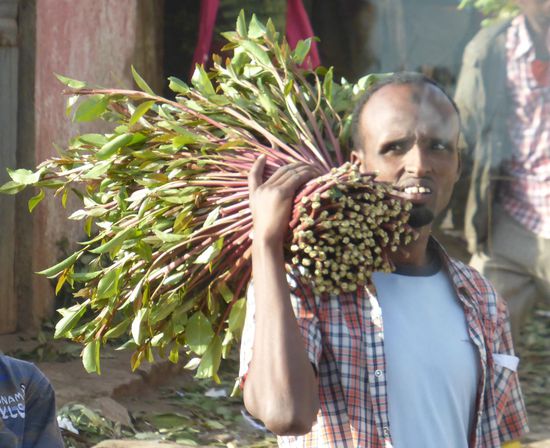 Khathändler in Aktion