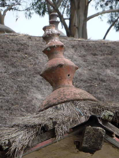 (ähnelt er dem aus der Bresse?)