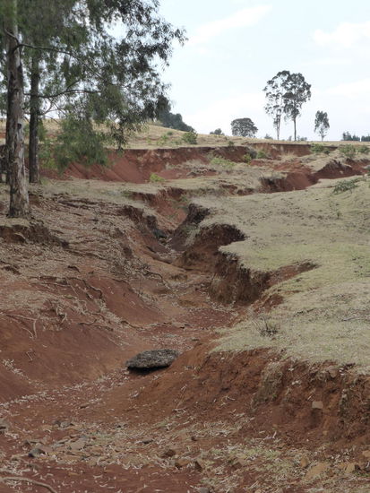 wie beispielsweise stark erodierte 'Wiesen'