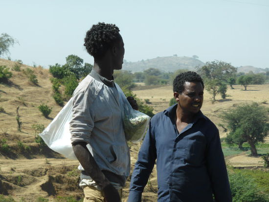 mir scheint - so könnten auch bei uns Drogenhändler aussehen - oder?