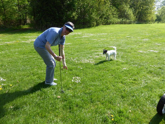 'Ballsuchhund' - kann komfortabel sein