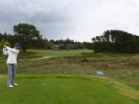 Heideflächen zwischen Abschlag und Fairway alleweil