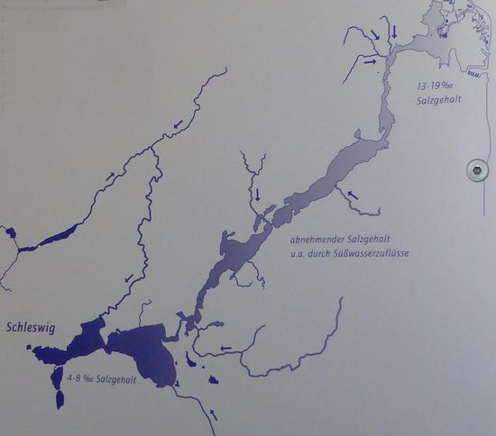 Je nach Windrichtung strömt Wasser aus der Schlei in die Ostsee und Ostseewasser in die Schlei. Ebbe und Flut können diesen Prozess leicht abschwächen oder stärken - der Tidenhub beträgt ca. 6-8 cm.
Durch den Süßwasserzufluß über Flüsse und Niederschlag einerseits und den Einstrom von Ostseewasser andererseits, bildet sich ein Salzwassergefälle von Schleswig bis zur Schleimündung  (ca. 40 km)