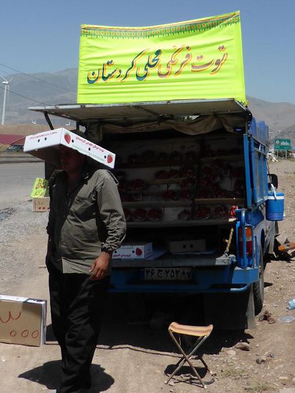 Erdbeerverkäufer in glühender Mittagshitze