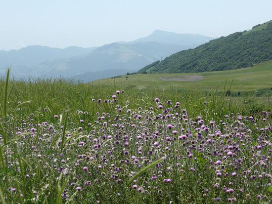 Alpenvorland am Airan-Pass
