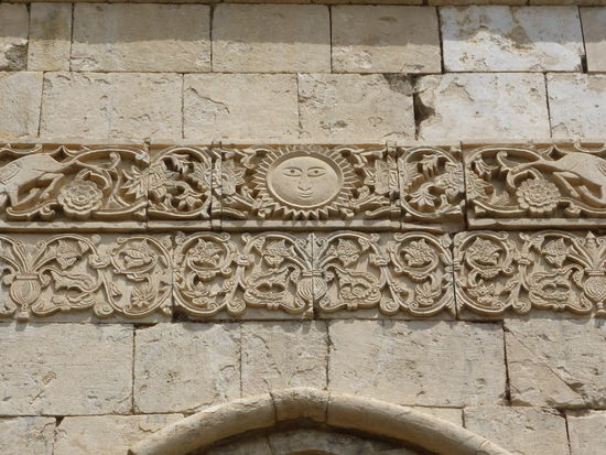 hier Tiere und Sonne