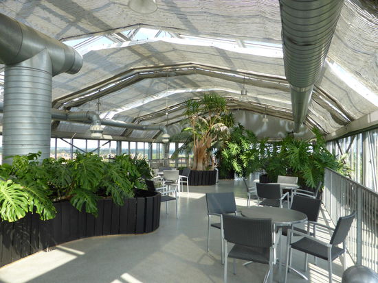 Palmengarten in luftiger Höhe mit Rundumaussicht