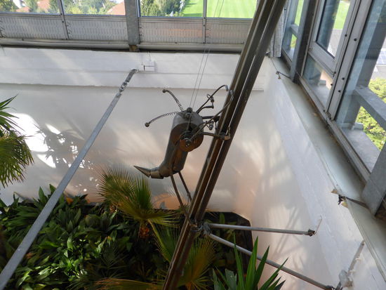 die Gottesanbeterin klettert langsam, aber zielstrebig eine Metallstange hoch