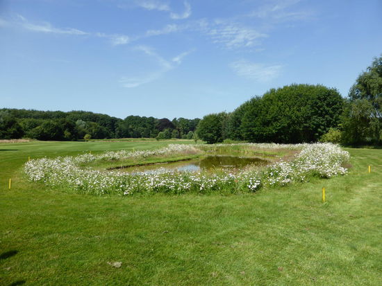 interessante Bahnen - schöne Landschaft