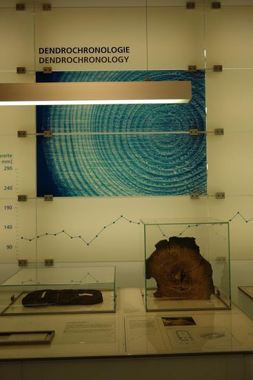 Altersbestimmung über Dendrochronologie