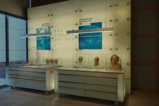 Rekonstruktion von Schädeln