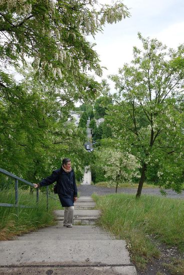 der doch etwas beschwerliche Aufsteige lohnt sich