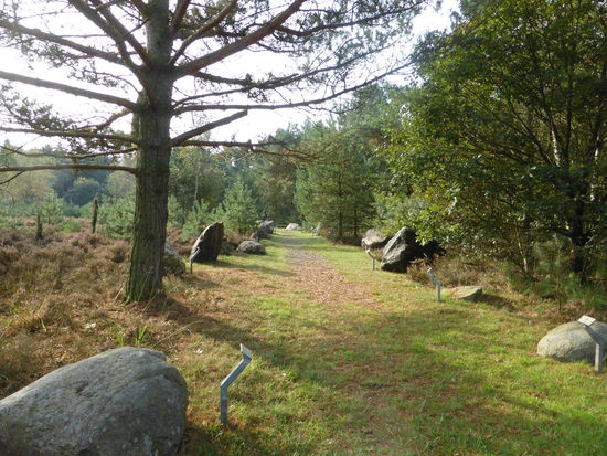 eingebettet in hübsche Heidelandschaft