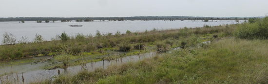 Ausblicke auf den unbegehbaren Teil des Moores